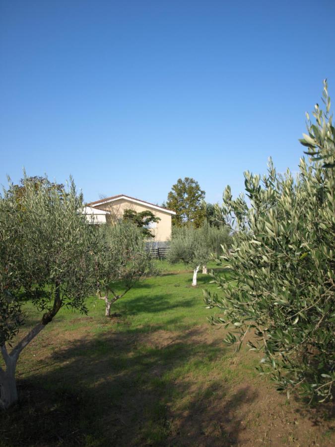 Apartamento Παληοκτημα - Palioktima 2 Neon Rysion Exterior foto